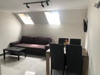 Apartamenty Antonio 2 - Kudowa-Zdrój - 5