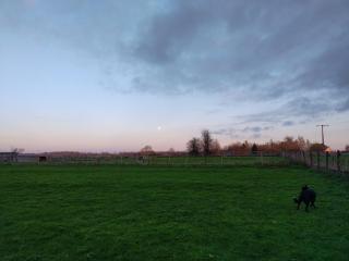 A la campagne, au calme - Montérolier - 2
