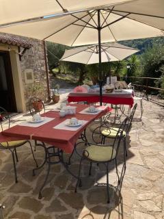 Casa La Lamia B&B - Perdifumo - 7