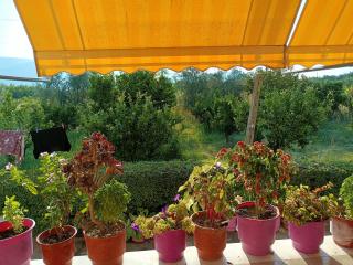 Guest house Fetie - Berat - 6