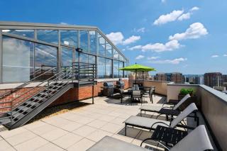 Modern & Charming Apt With Rooftop @pentagon City - 4