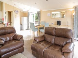 Daisy - Leominster - 3