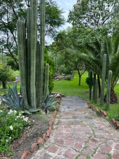 Home in San Miguel de Allende. Casita de La Aldea - 9