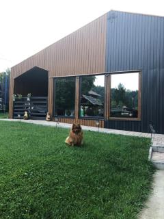 Mini căsuța cu șemineu Moieciu - 9