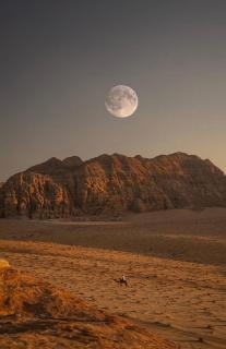 Wadirum Zeid camp&Tours - 0