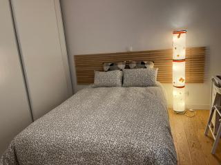 Dream Dwell Paris- The 6th district Paris Historical apartment near Montparnasse - Paris - 5