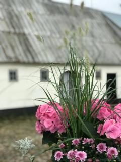 Landligt ophold på Midtgård - Vamdrup - 6