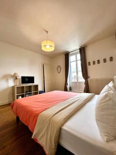 Appartements Plantagenet - Le 27 - Le Mans - 8