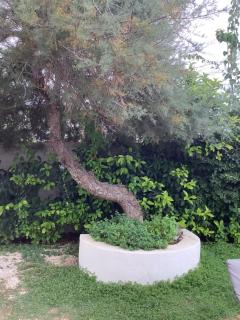 Dimora dell’Ozio in riva al mare - 1