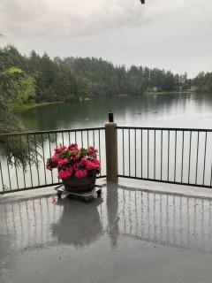 Hammersley Inlet- Oyster beach, Relaxing Views - Shelton - 8
