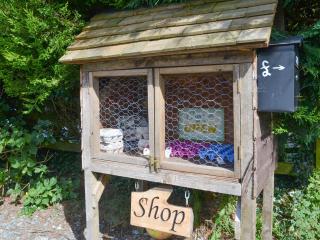 Cedar - Thornbury - 1