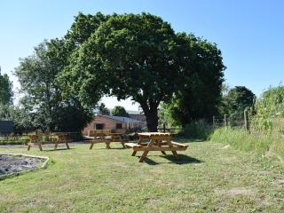 Dornfelder - Ukc3209 - Newbridge - 9