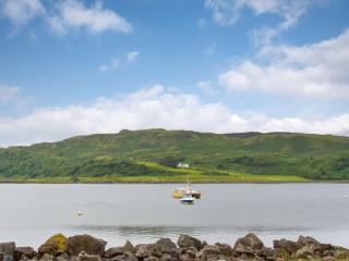 Puffin - Kerrera - Lerags - 9