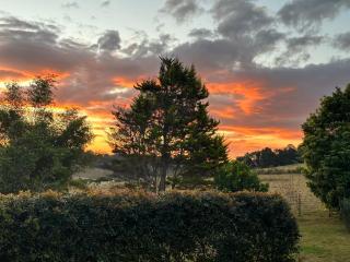 Orange Blossom- Comboyne Mountain Cottages - Comboyne - 4