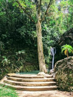 Hotel Rivel - Restaurant & Nature Retreat - Turrialba - 5