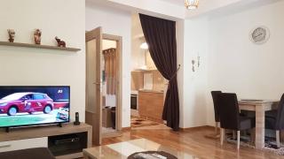 Kropa apartman - Podgorica - 9
