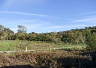 Riverside Holiday Park - Amberley - 6
