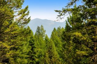 Log Cabin Lookout - Bigfork - 7