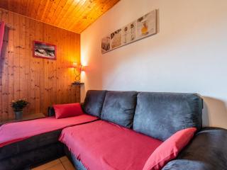Appartement cozy avec Wi-Fi, parking et animaux admis - FR-1-671-72 - Les Gets - 1