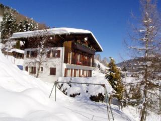 Appartement familial aux Gets, 2 chambres, parking, Wi-Fi, animaux admis - FR-1-671-88 - Les Gets - 3
