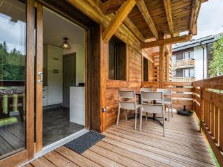 Appartement 3 Pièces + Cabine, 6 Pers, Terrasse Sud/Est, Proche Pistes, Garage, Wi-Fi - FR-1-671-106 - Les Gets - 4