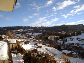 Appartement 2 chambres avec Wi-Fi, parking et animaux admis - FR-1-671-228 - Les Gets - 1