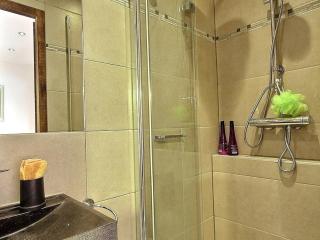Chalet rénové au pied des pistes avec balcon et cheminée - FR-1-455-231 - La Plagne Tarentaise - 2