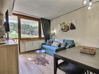 Joli studio rénové pour 4, au pied des pistes, balcon, cuisine équipée, non fumeur - FR-1-455-235 - La Plagne Tarentaise - 9
