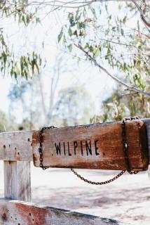 'Wilpine' Poolside Country Luxury near Town - Mudgee - 4