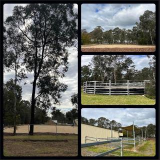 Caballo Retreat Cottage - Bargo - 5