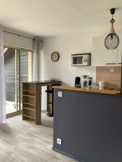Les Mélèzes 2 Studio - 1