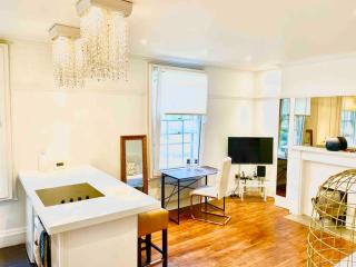 EMMANUEL HOUSE LOVELY 1 - BEDROOM APT IN HISTORICAL BUILDING CENTRAL CAMBRIDGE - 7