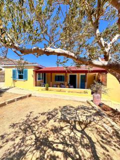 Amοopi Beach Country House - Amoopi - 9