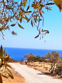 Amοopi Beach Country House - Amoopi - 4