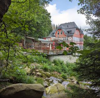 Waldgasthaus & Berghotel Steinerne Renne - Wernigerode - 9