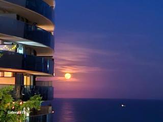 Villa Angelina - Beausoleil - 7