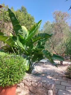 Villa Azzurra - casa vacanze - Corsano - 3