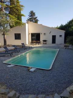 Maison avec piscine - Vaison-la-Romaine - 1