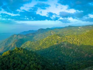 ama Stays & Trails Anjanagiri , Kotagiri - 9