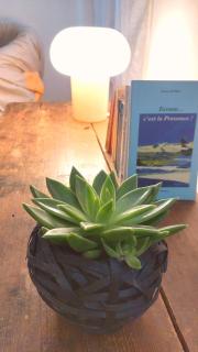 Appartement spacieux et agréable - 1