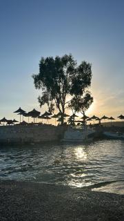 Vita Mediterranea Quartet - Saranda - 8