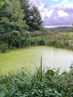 Domek Letniskowy Zacisze Guciów - Guciów - 6