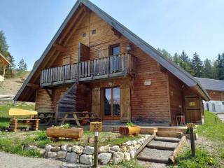 Chalet rénové 7 pers avec terrasse, local ski et parking gratuit - FR-1-504-70 - Le Dévoluy - 2