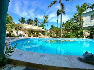 Cabarete Boutique Kite Hotel King Loft - Cabarete - 5