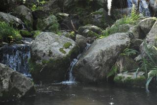 TrinidadTraslasierra-CASATUNA - Las Rabonas - 3