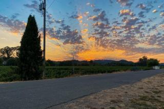 Magnolia Ranch Vineyards - 7