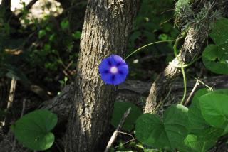 TrinidadTraslasierra-CASATUNA - 4