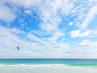 Summit at Tops'l 212 - Destin - 8