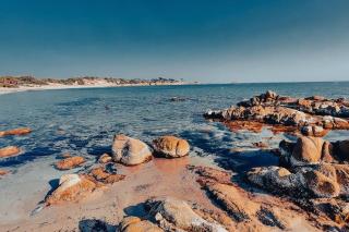 Appartement T2 Village Oletta - Oletta - 8