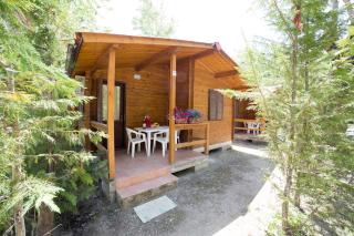 Camping dei Tigli - Torre del Lago Puccini - 1
